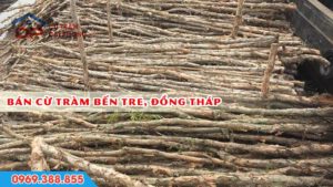 Bán cừ tràm tại Bến Tre, Đồng Tháp
