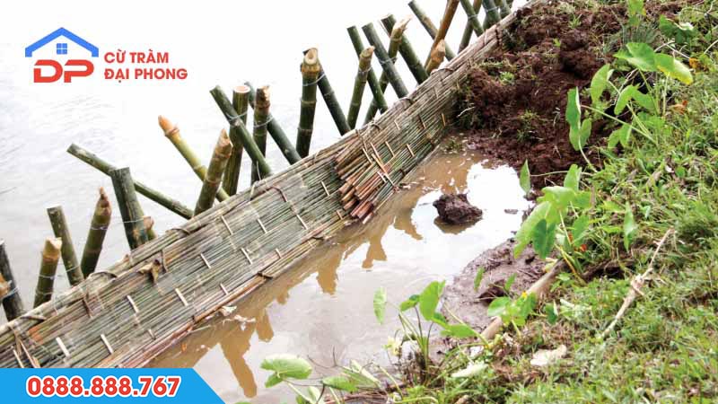 Phên tre xây dựng