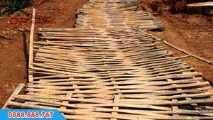 Ứng dụng phên tre