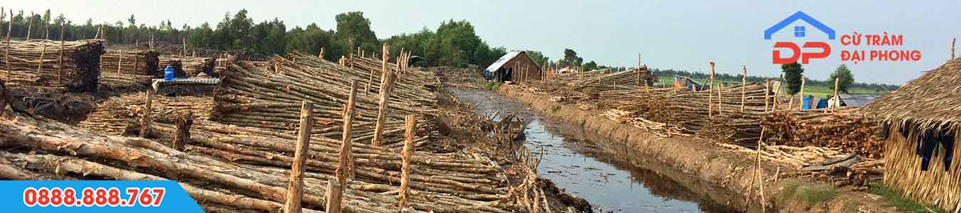 Banner giới thiệu